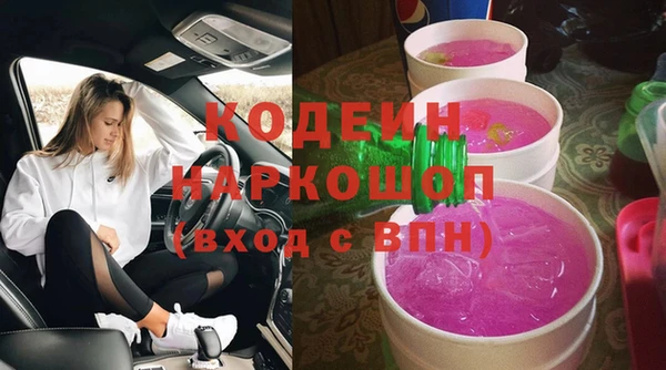 индика Алзамай