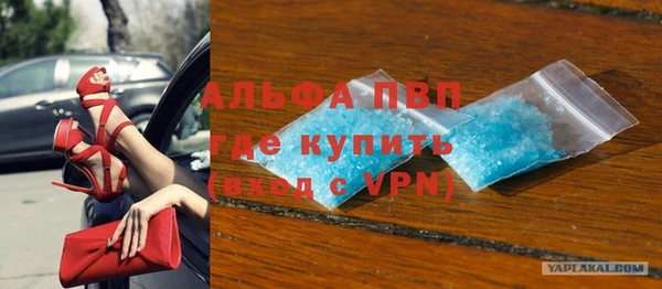 стаф Россошь
