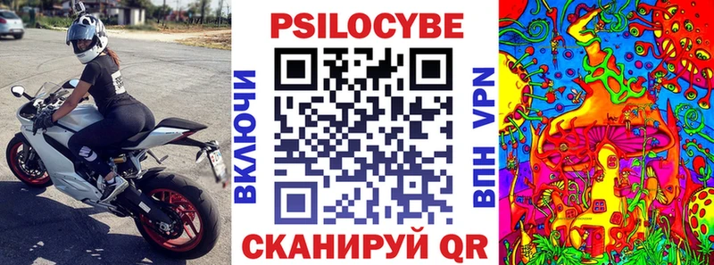 мориарти телеграм  Дятьково  Галлюциногенные грибы Magic Shrooms 