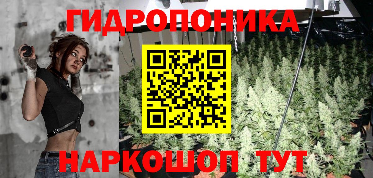 Конопля OG Kush Дятьково